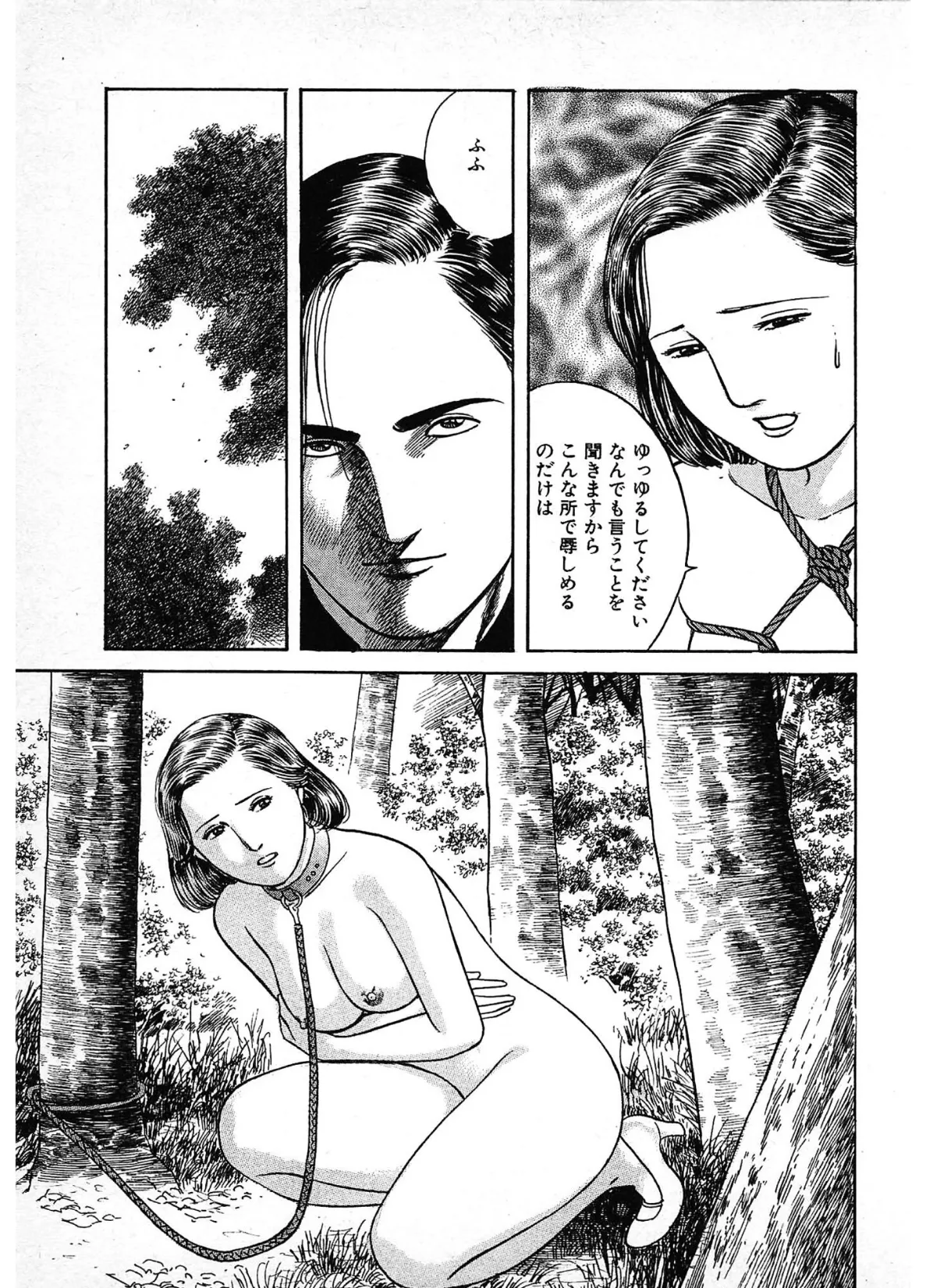 危ない悦楽＜描き下ろし原画入り特別版＞・鶴永いくお官能コレクション11 13ページ