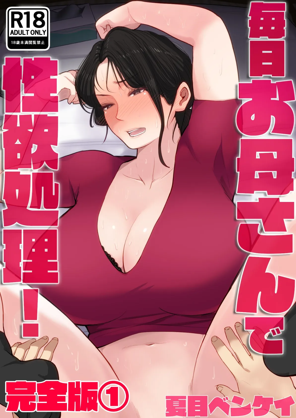 毎日お母さんで性欲処理! 完全版1